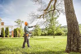 Best Tree Mulching  in Galesburg, IL